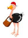 Cute Ostrich Royalty Free Stock Photo