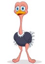 Cute ostrich cartoon Royalty Free Stock Photo