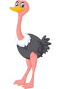 Cute ostrich cartoon Royalty Free Stock Photo