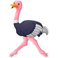 Cute ostrich cartoon Royalty Free Stock Photo