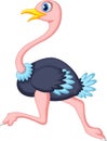 Cute Ostrich Cartoon Running