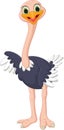 Cute ostrich cartoon Royalty Free Stock Photo