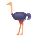 Cute ostrich icon, cartoon style