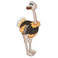 Cute ostrich, isolated object on white background, vector illustration Royalty Free Stock Photo