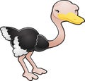 Cute Ostrich Vector Illustration Royalty Free Stock Photo