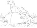 Coloring page,book a cute otter on the stone image for children,line art style illustration for relaxing.