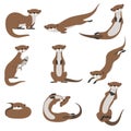 Cute otter set, funny animal character in various poses vector Illustration on a white background Royalty Free Stock Photo