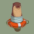 Cute otter swimming with life preserver