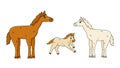 Cute Outline Cartoon Hand Drawn House Family. Brown Male Father, White Female Mother And Baby Horse Foal Kid Runs And Jumps Vector