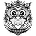 Cute owl  is from black lines with big eyes on a white background. Royalty Free Stock Photo