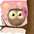 Cute Owl on a brunch Royalty Free Stock Photo