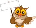 Cute owl cartoon holding blank sign