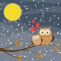 Cute owl couple on a tree