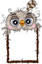 Cute owl face with wooden blank frame