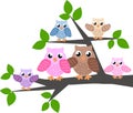 A cute owl family Royalty Free Stock Photo