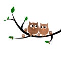 A cute owl family sitting in a tree vector illustration isolated in white background. Royalty Free Stock Photo