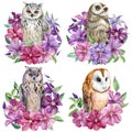 Cute owl and Flowers on an isolated white background. Watercolor illustration, Set with an owl. Royalty Free Stock Photo
