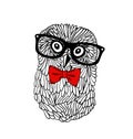 Cute owl pet in retro frame glasses isolated on white background. Vector illustration of bird in hipster style.