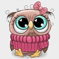 Cute owl in pink sweater