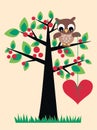 A cute owl sitting in a tree Royalty Free Stock Photo