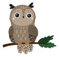 Cute owl sitting on tree branch. Forest bird Royalty Free Stock Photo