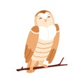 Cute owl sitting on tree branch. Funny adorable feathered bird on twig. Amusing nice sweet birdie with closed eyes