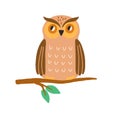 Cute owl sitting on tree branch. Funny wild bird isolated on white background. Colored flat vector illustration of baby Royalty Free Stock Photo