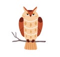 Cute owl sitting on tree branch. Funny wild feathered night bird on twig, folded wings. Realistic horned birdie. Wise