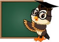 Cute owl teacher