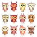 Cute owl vector flat characters set Royalty Free Stock Photo