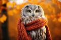 Cute owl wearing an orange scarf and sitting on the brunch on fall forest. Royalty Free Stock Photo