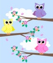 Cute owls