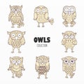 Cute owls birds cartoon set Royalty Free Stock Photo