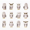 Cute owls birds cartoon set Royalty Free Stock Photo