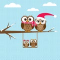 Cute owls christmas seasonal illustration Royalty Free Stock Photo