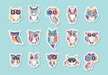 Cute owls coloful collection, logo design template