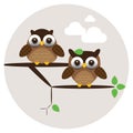 Cute owls couple on the tree branch.