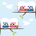 Cute owls couple on the tree branch.