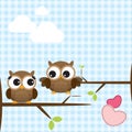 Cute owls couple on the tree branch.