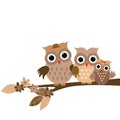 Cute owls family on white background