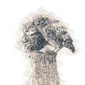 Cute Owls in Vintage Steampunk Da Vinci Drawing Style