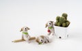 Cute painted clay dog dolls ornamental potted plants on White ba