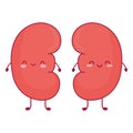cute kidneys icons
