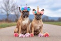 Cute pair of sitting French Bulldog dogs dressed up with unicorn costume headbands with flowers