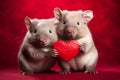 Cute pair of wombats holding red heart in front of studio background Royalty Free Stock Photo