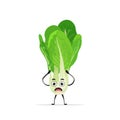 Cute pak choi character cartoon mascot vegetable healthy food concept isolated