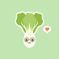 cute pak choi character cartoon mascot vegetable healthy food concept isolated vector illustration. bok choy character