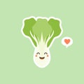 cute pak choi character cartoon mascot vegetable healthy food concept isolated vector illustration. bok choy character Royalty Free Stock Photo
