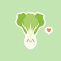 cute pak choi character cartoon mascot vegetable healthy food concept isolated vector illustration. bok choy character