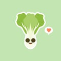 cute pak choi character cartoon mascot vegetable healthy food concept isolated vector illustration. bok choy character Royalty Free Stock Photo